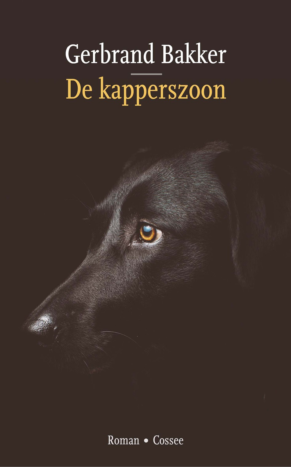 De kapperszoon
